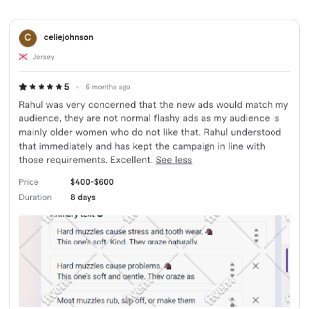 Verified Fiverr client review 7